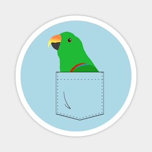 Eclectus Male Parrot In Your Front Pocket Magnet
